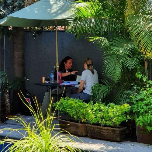 Preparación para examenes